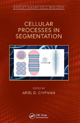 Cellular Processes in Segmentation
