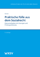 Praktische Fälle aus dem Sozialrecht - Michael Grosse