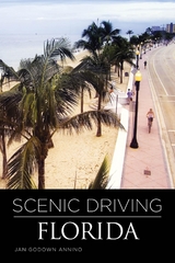 Scenic Driving Florida -  Jan Annino