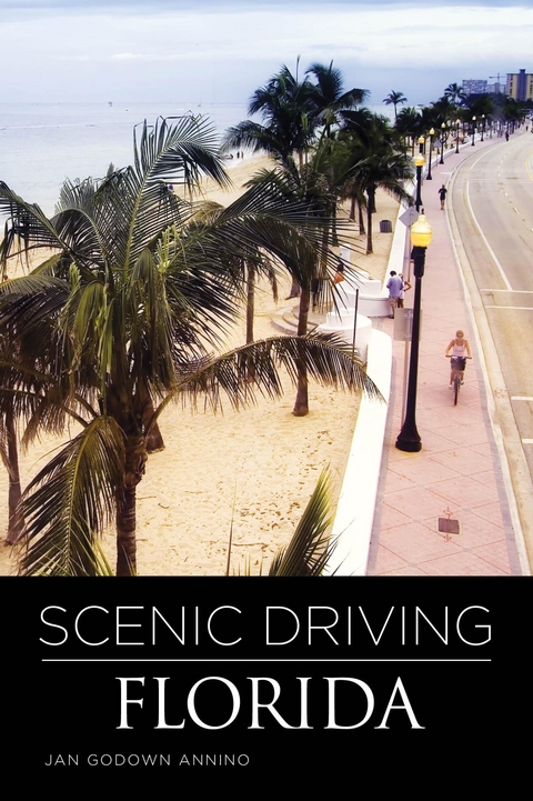 Scenic Driving Florida -  Jan Annino