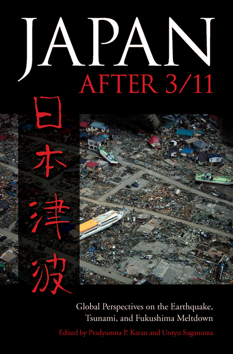 Japan after 3/11 - 