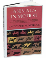 Animals in Motion - Eadweard Muybridge