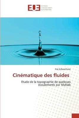 Cin&eacute;matique des fluides - Fraj Echouchene
