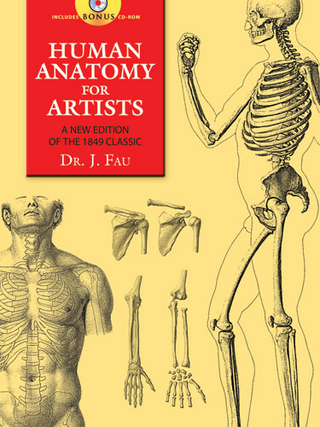 Human Anatomy for Artists