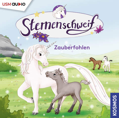 Sternenschweif (Folge 60): Zauberfohlen - Linda Chapman