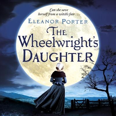 The Wheelwright's Daughter -  Eleanor Porter