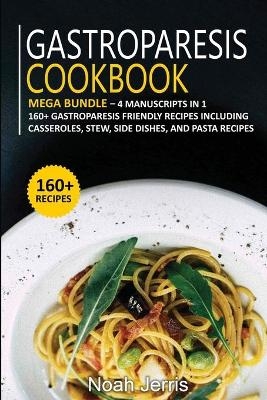 Gastroparesis Cookbook - Nomad Publishing
