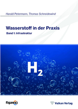 Wasserstoff in der Praxis - Thomas Schneidewind