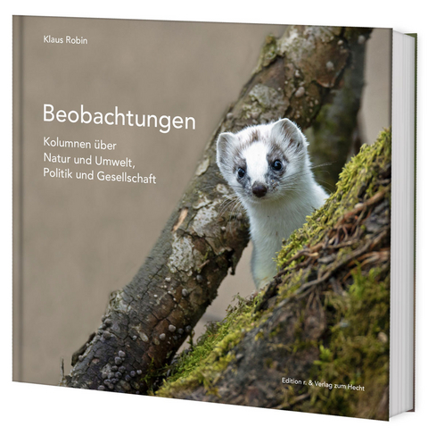 Beobachtungen - Klaus Robin