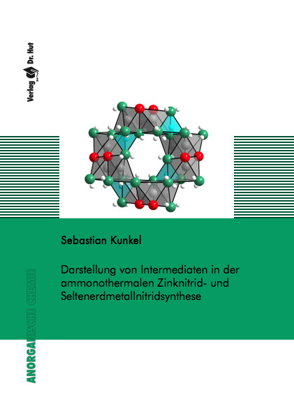 Darstellung von Intermediaten in der ammonothermalen Zinknitrid- und Seltenerdmetallnitridsynthese - Sebastian Kunkel