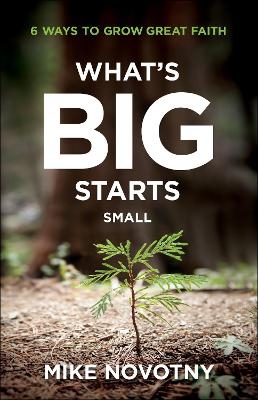 What`s Big Starts Small &ndash; 6 Ways to Grow Great Faith - Mike Novotny