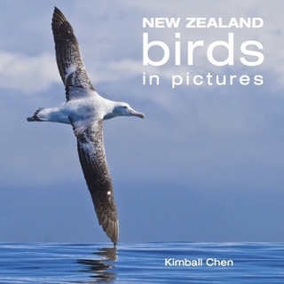 New Zealand Birds in Pictures
