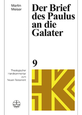 Der Brief des Paulus an die Galater - Martin Meiser