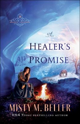 A Healer`s Promise
