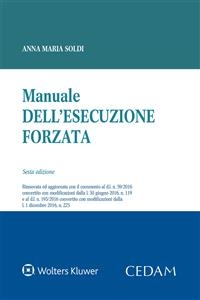 Manuale dell'esecuzione forzata