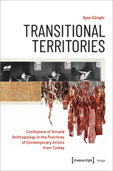 Transitional Territories - Ayse G&uuml;ng&ouml;r