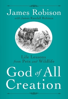 God of All Creation - James Robison
