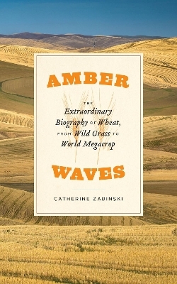 Amber Waves