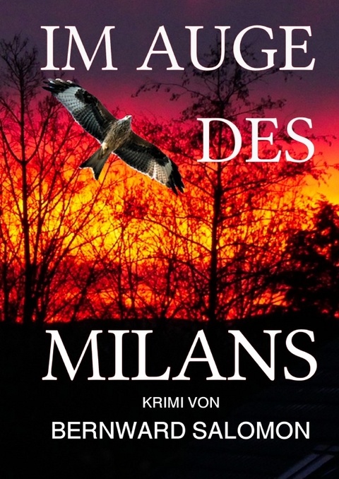 Im Auge des Milans - Bernward Salomon