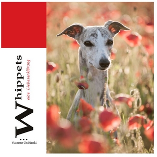 Whippets - eine Liebeserklärung