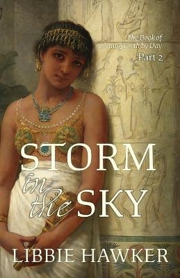 Storm in the Sky - Libbie Hawker