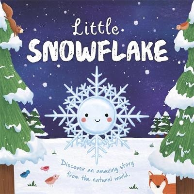 Little Snowflake -  Igloo Books Ltd