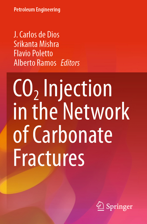 CO2 Injection in the Network of Carbonate Fractures - 