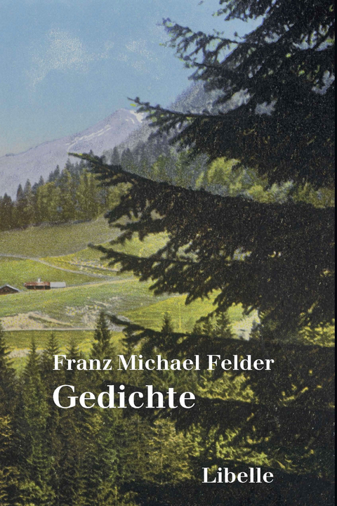 Gedichte - Franz Michael Felder