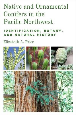Native and Ornamental Conifers in the Pacific Northwest - Elizabeth A. Price