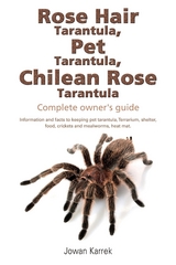 Rose Hair Tarantula, Pet Tarantula, Chilean Rose Tarantula - Jowan Karrek