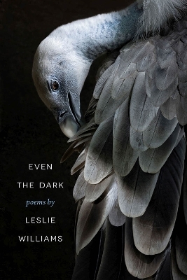 Even the Dark - Leslie Williams