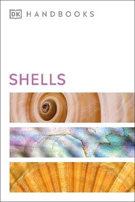 Shells - S. Peter Dance