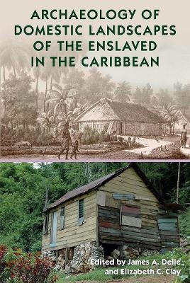 Archaeology of Domestic Landscapes of the Enslaved in the Caribbean - 