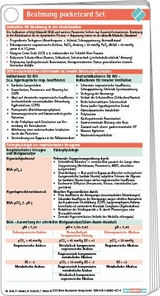 Beatmung pocketcard Set - Groß, Martin; Weber, Thomas; Seyfarth, Nicole; Lebiedz, Pia