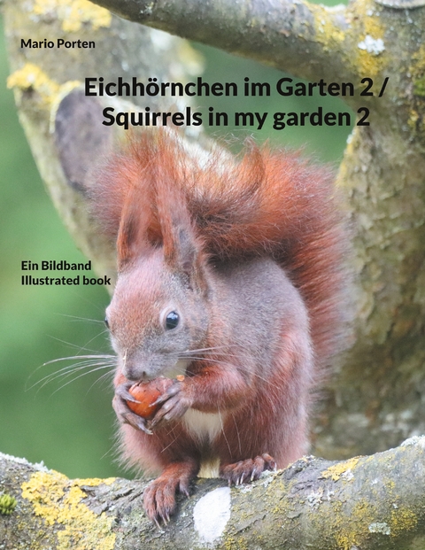 Eichh&ouml;rnchen im Garten 2 / Squirrels in my garden 2 - Mario Porten