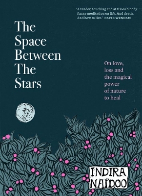 The Space Between the Stars - Indira Naidoo