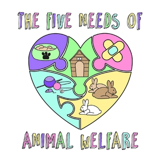 The Five Needs of Animal Welfare