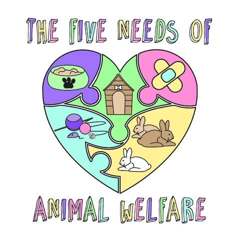 The Five Needs of Animal Welfare - Nicola Gothard