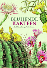 Bl&uuml;hende Kakteen - 