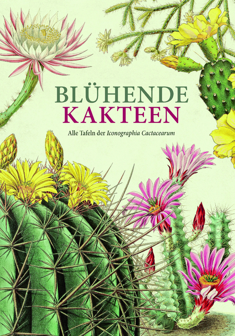 Bl&uuml;hende Kakteen - 
