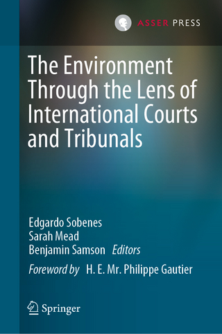 The Environment Through the Lens of International Courts and Tribunals