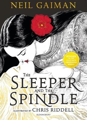 The Sleeper and the Spindle - Neil Gaiman