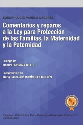 Comentarios y reparos a la Ley para Protecci&oacute;n de las Familias, la Maternidad y la Paternidad - Edison Lucio Varela C&aacute;ceres