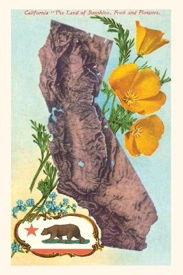 Vintage Journal California Map with Bear and Poppies