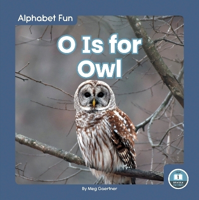 O Is for Owl - Meg Gaertner