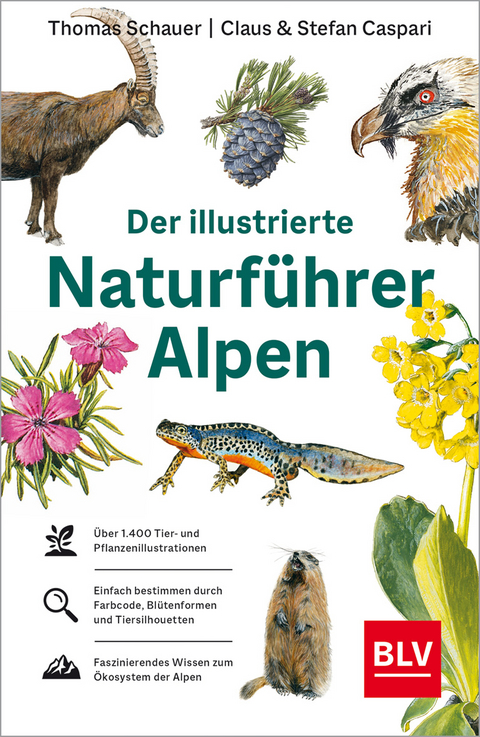Der illustrierte Naturf&uuml;hrer Alpen - Thomas Schauer, Stefan Caspari