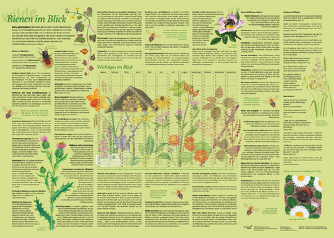 Erlebnisposter "Bienen im Blick" - Doris Sch&ouml;nhoff, Dirk Kr&uuml;ger