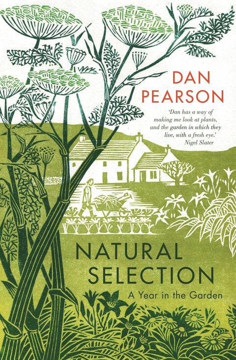 Natural Selection -  Dan Pearson