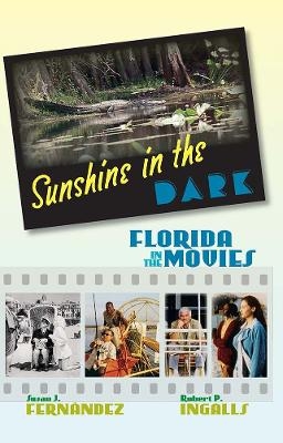 Sunshine in the Dark - Susan J. Fernandez, Robert P. Ingalls