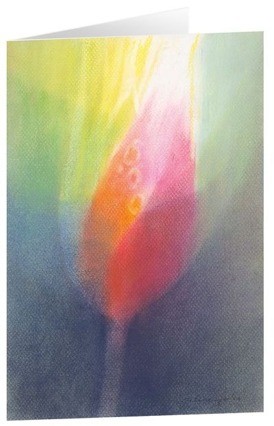 Kunstkarten "Knospe" 5 Stk.
